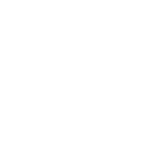 EMS icon