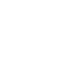 police icon